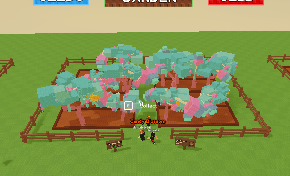 Candy Blossom Account (11 Trees)
